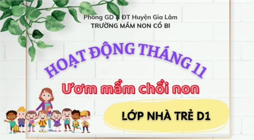 Một số hoạt động trong tháng 11 của các bé lớp NTD1