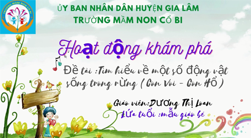 Khám phá: Con voi - con hổ- MGB