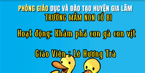 Khám phá: con gà,con vịt - MGB