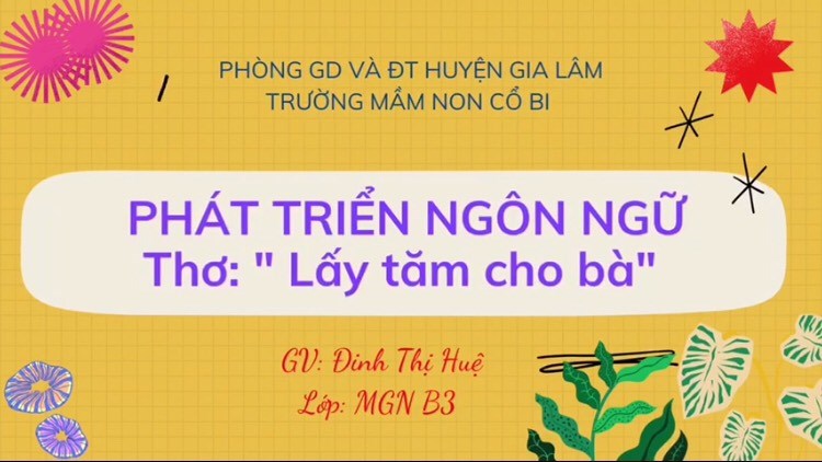 Lĩnh vực phát triển ngôn ngữ