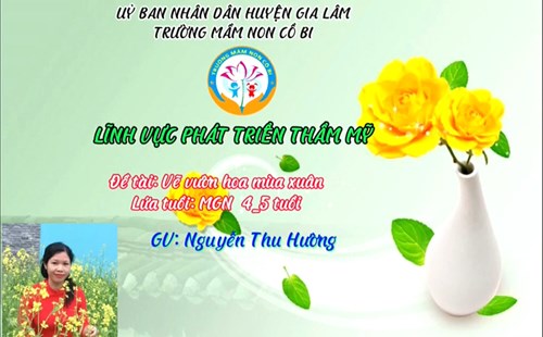 Lĩnh vực phát triển thẩm mỹ