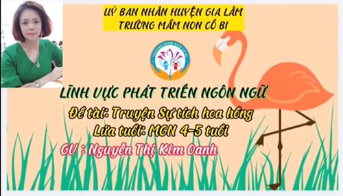 Lĩnh vực phát triển ngôn ngữ