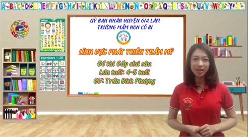 Lĩnh vực phát triển thẩm mỹ