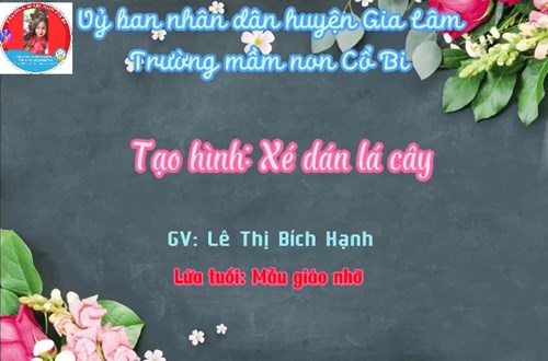 Lĩnh vực phát triển thẩm mỹ