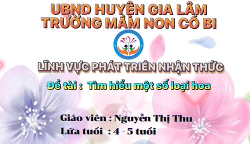 Lĩnh vực phát triển thẩm mỹ