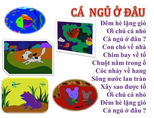 Thơ:  Cá ngủ ở đâu?  