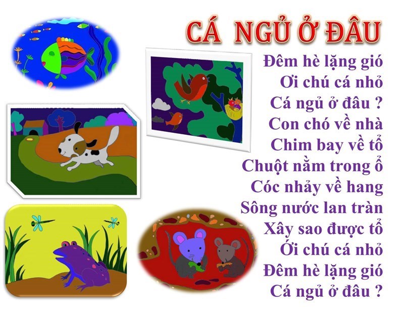 Thơ:  Cá ngủ ở đâu?  