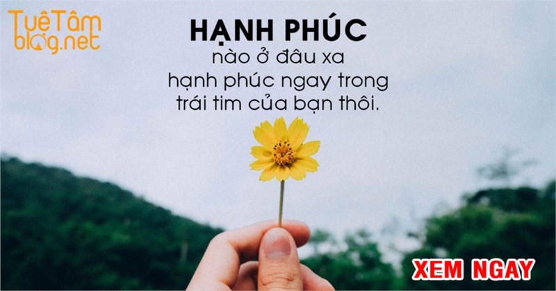 Những Thông điệp mang tên Hạnh phúc