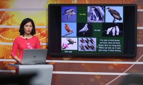 Lịch học trên truyền hình Hà Nội