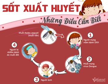 Phòng chống dịch sốt xuất huyết - trách nhiệm của toàn xã hội