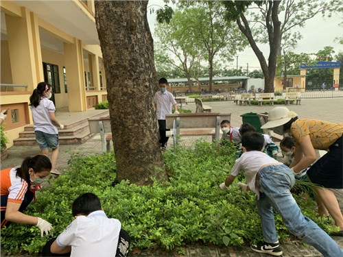 Hoạt động tích cực của đội xung kích góp phần giữ cho môi trường xanh - sạch - đẹp.