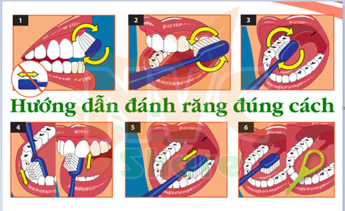 Bài tuyên truyền chăm sóc sức khỏe răng miệng cho học sinh của trường Tiểu học Đa Tốn.