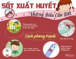 Phòng chống sốt xuất huyết