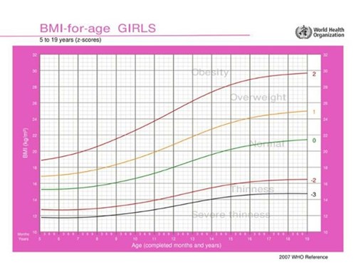 Công cụ tính BMI chuẩn cho các phụ huynh có trẻ tuổi tiểu học