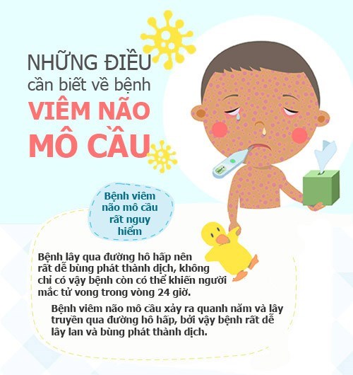 Bệnh viêm não mô cầu