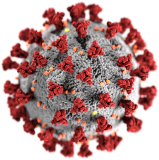 Thông tin về Coronavirus (Covid-19)