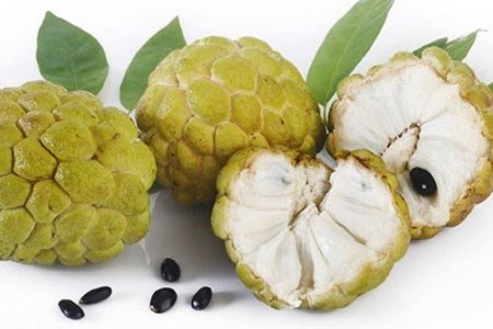 6 lợi ích không ngờ của quả na với sức khỏe