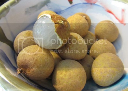 Những lợi ích tuyệt vời và Các bài thuốc quý từ quả nhãn đối với sức khỏe gia đình