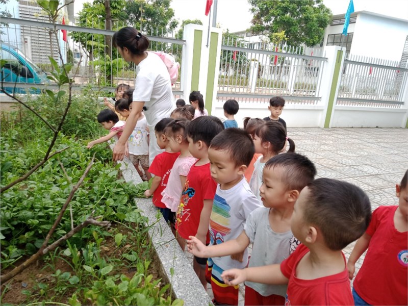  Hoạt động ngoài trời của trẻ 3-4 tuổi